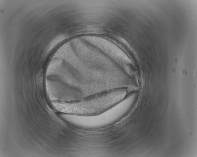 X0000082761450200702240052