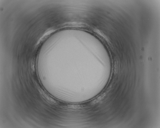 X0000082761451200702240052