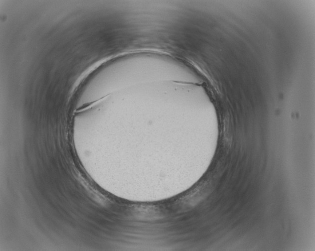 X0000082761452200702240052