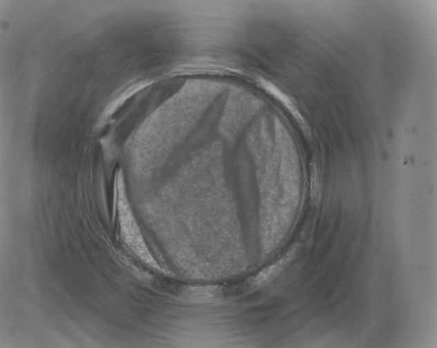 X0000082761453200702240052