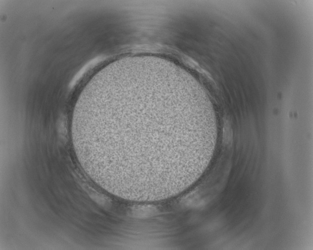 X0000082761454200702240052