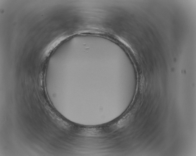 X0000082761455200702240052