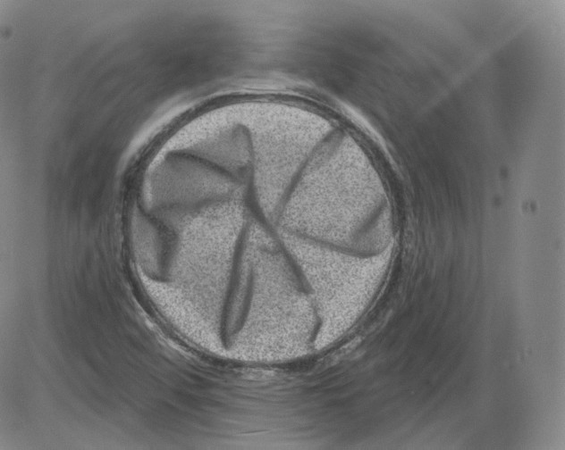 X0000082761456200702240052