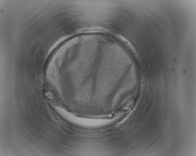 X0000082761457200702240052