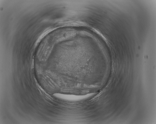 X0000082761459200702240052