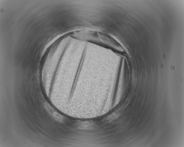 X0000082761460200702240052