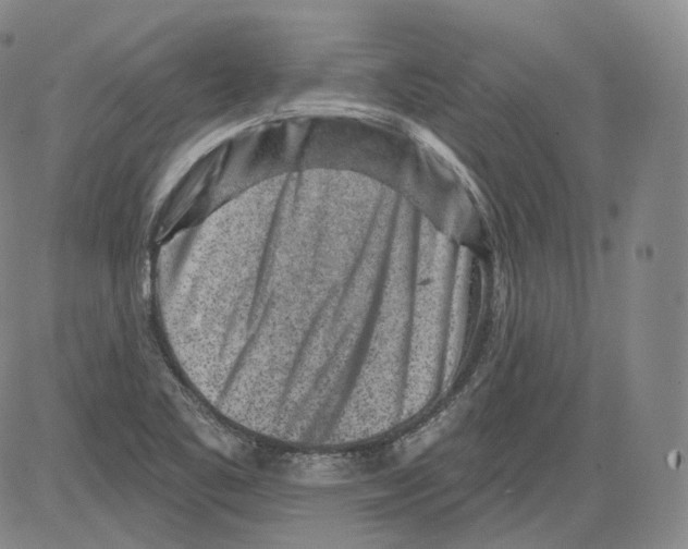 X0000082761461200702240052