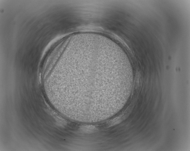 X0000082761462200702240052