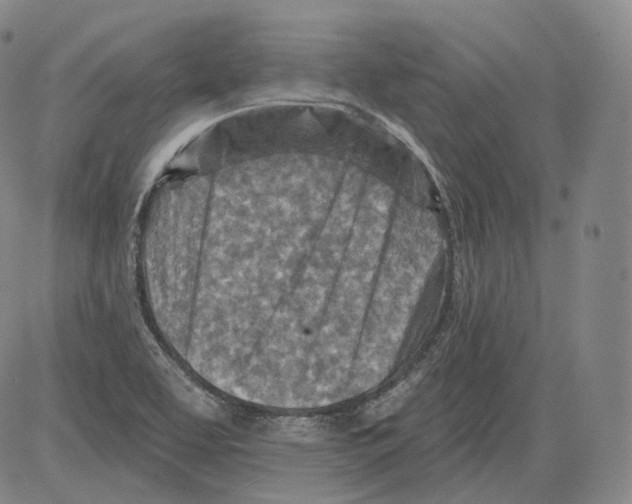 X0000082761463200702240052