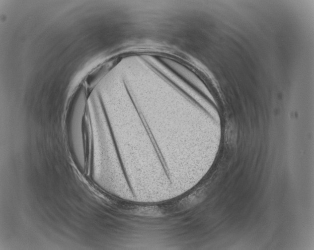 X0000082761464200702240052