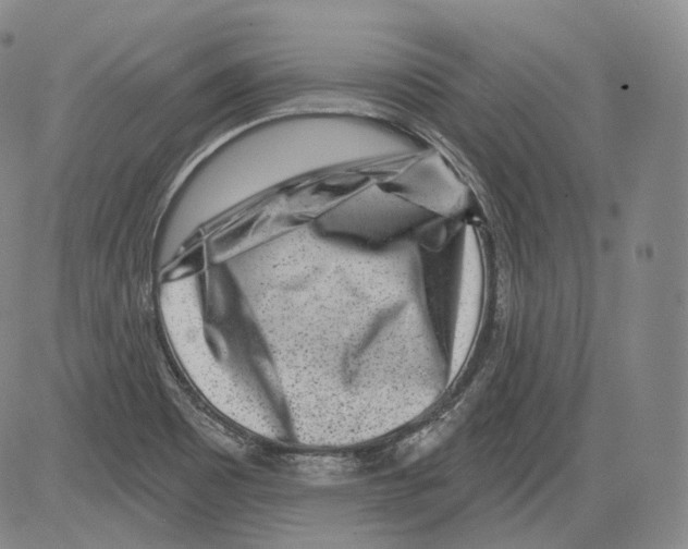 X0000082761465200702240052