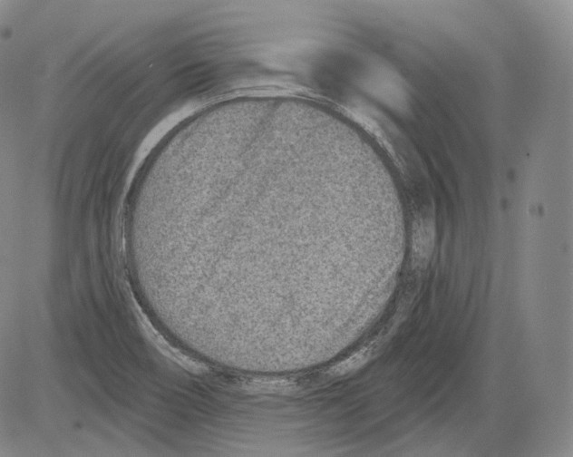 X0000082761466200702240052