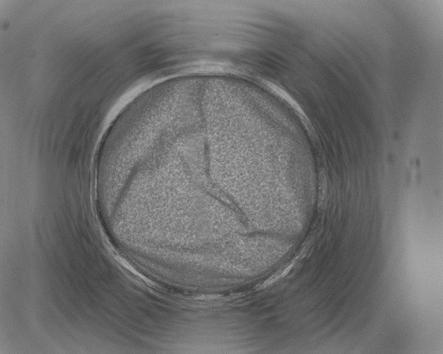 X0000082761467200702240052