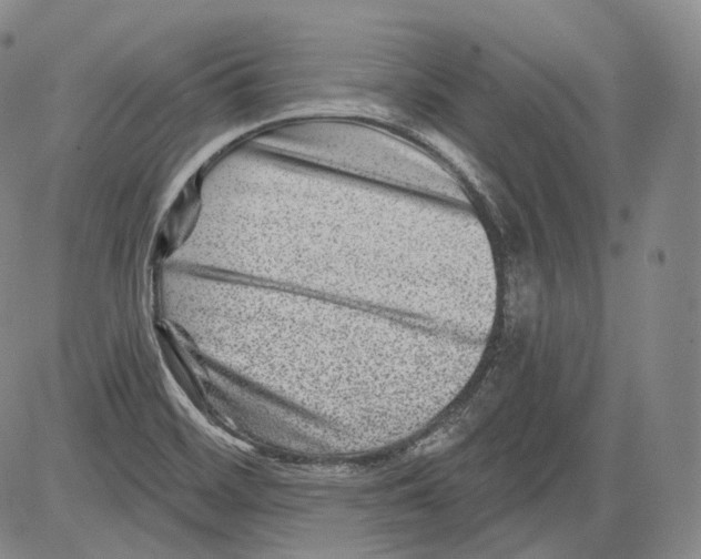 X0000082761468200702240052