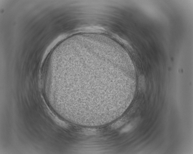 X0000082761470200702240052