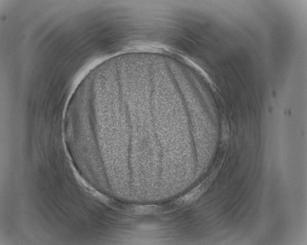 X0000082761471200702240052