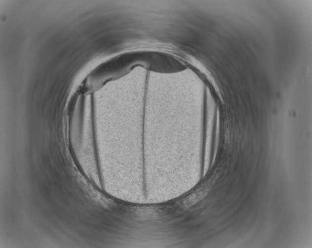 X0000082761472200702240052