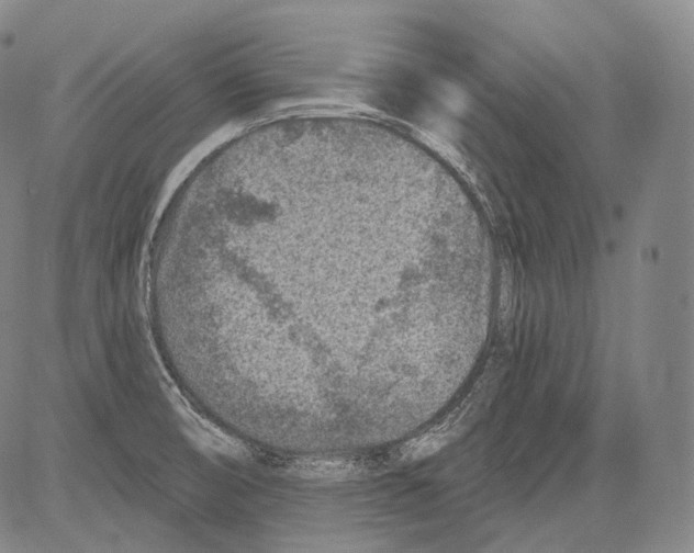 X0000082761474200702240052