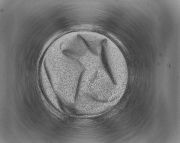 X0000082761475200702240052