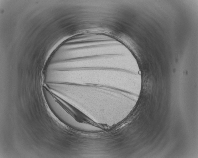 X0000082761476200702240052