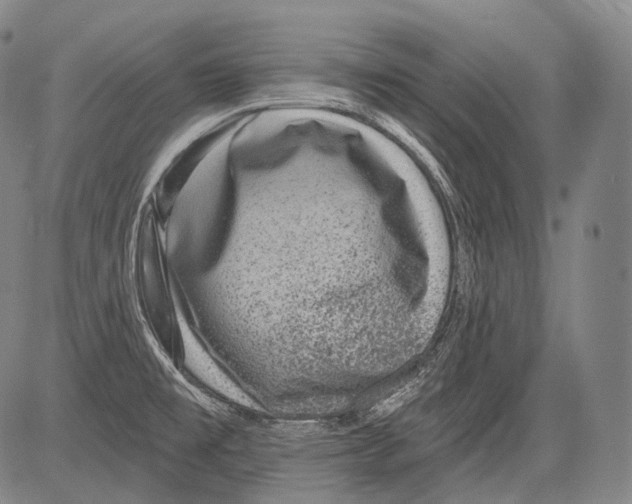 X0000082761477200702240052