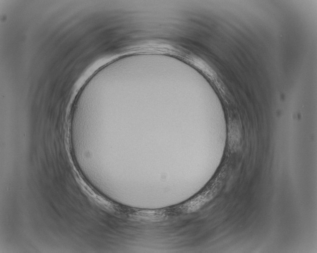 X0000082761478200702240052