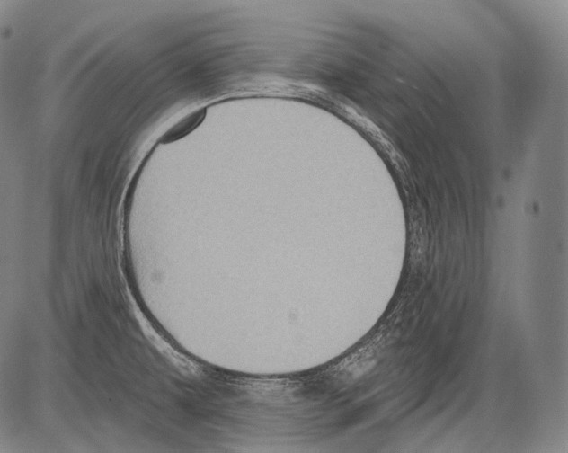 X0000082761479200702240052