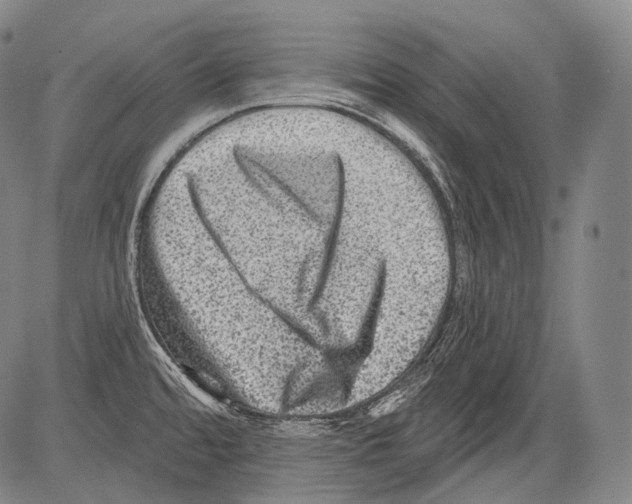 X0000082761480200702240052