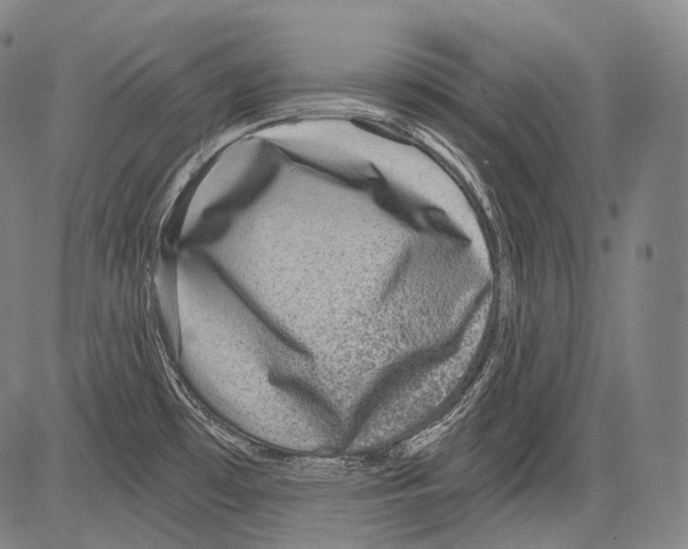 X0000082761481200702240052