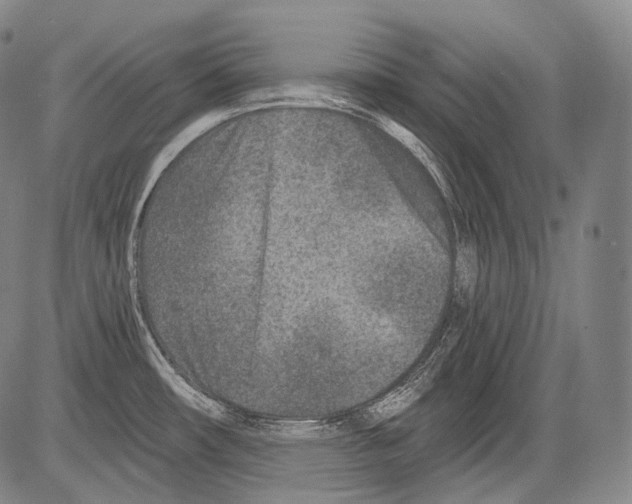 X0000082761482200702240052