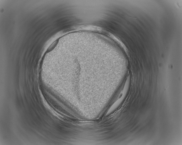 X0000082761483200702240052