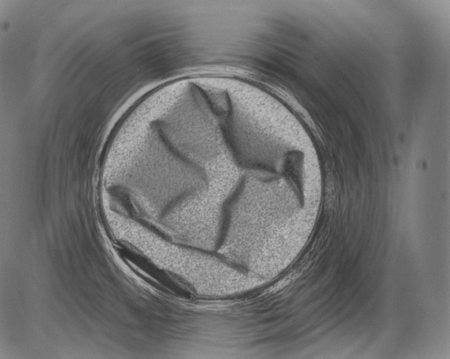 X0000082761484200702240052