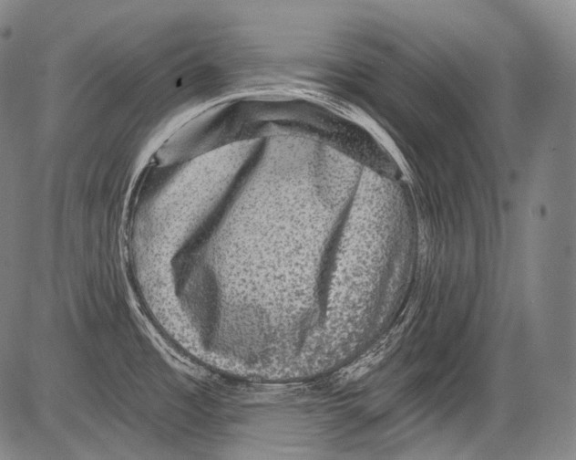 X0000082761485200702240052