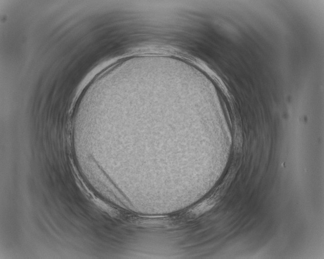 X0000082761486200702240052