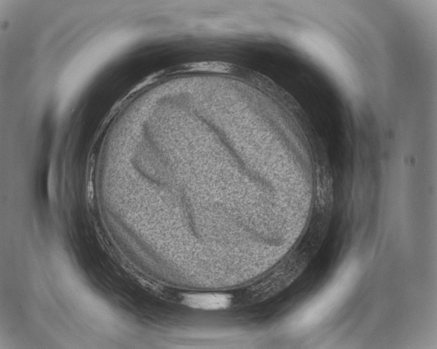 X0000082761487200702240052