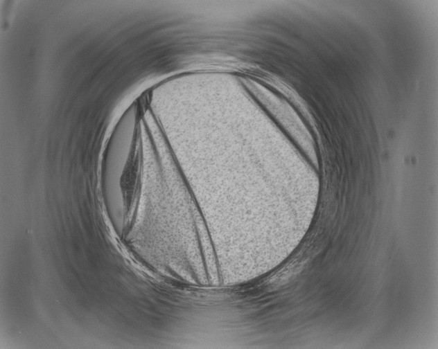 X0000082761488200702240052