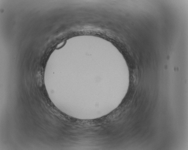 X0000082761493200702240051