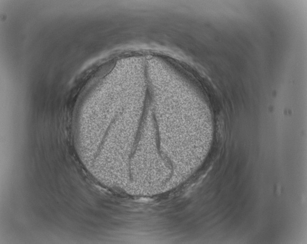 X0000082761494200702240051