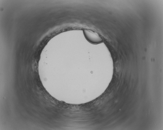 X0000082761495200702240051