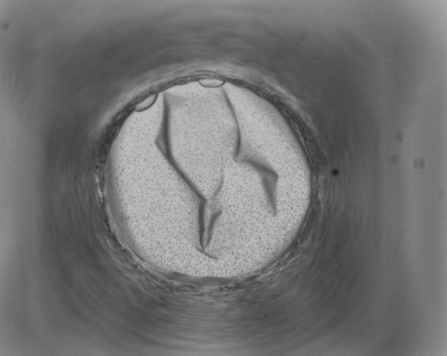 X0000082761496200702240051