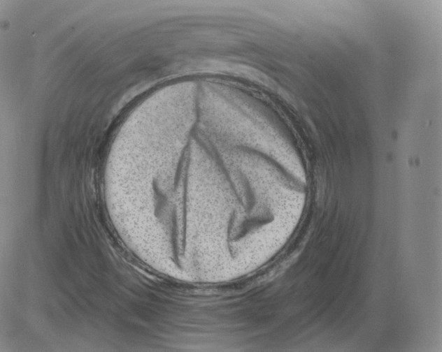 X0000082761497200702240051