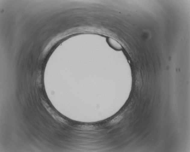 X0000082761499200702240051