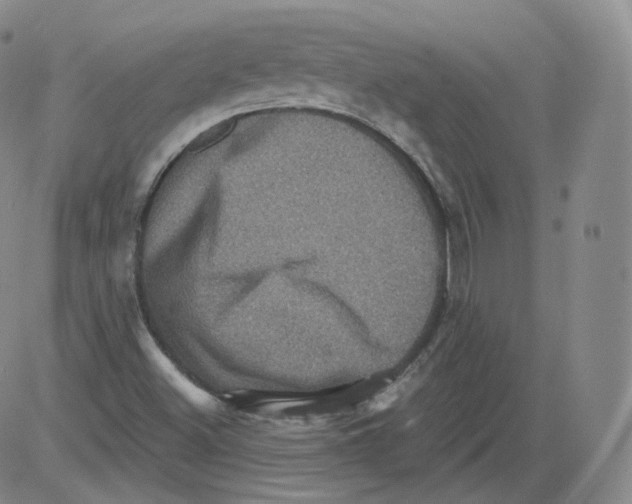 X0000082761500200702240051