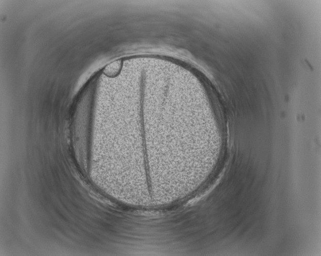 X0000082761501200702240051