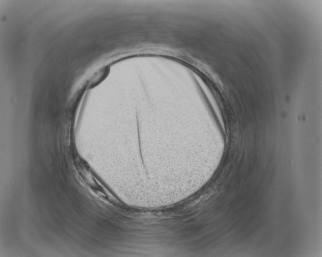 X0000082761504200702240051