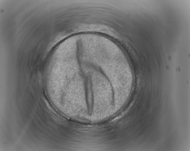 X0000082761505200702240051