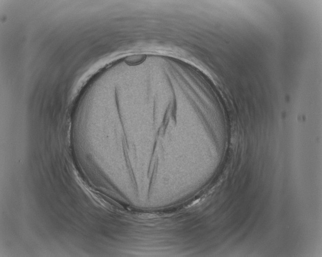 X0000082761507200702240051