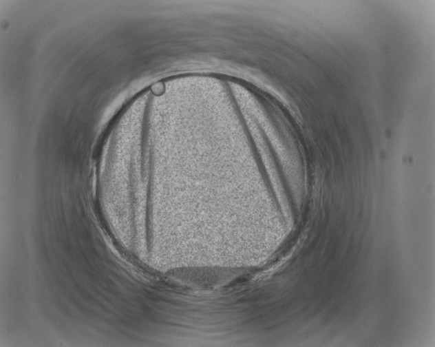 X0000082761509200702240051