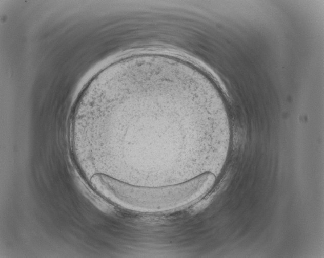 X0000082761514200702240051