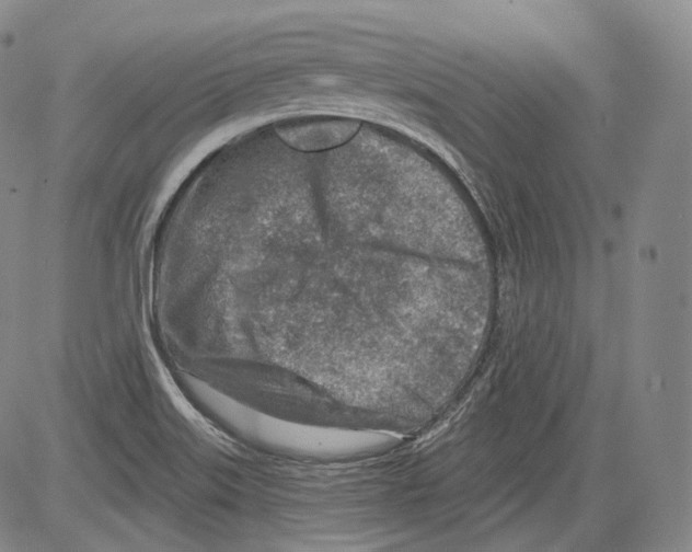 X0000082761515200702240051